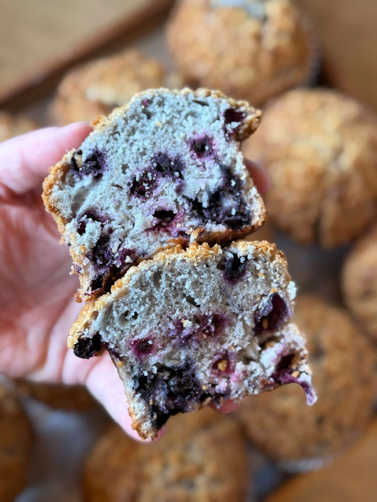 Groovy Duck All American Blueberry muffin broken open